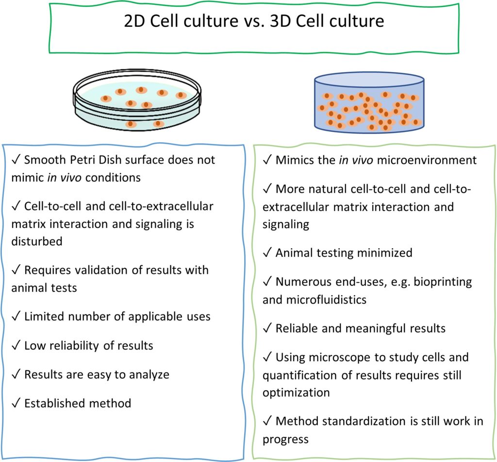 2D vs 3D cell culture